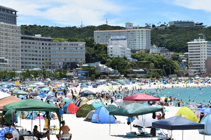 ロードアイランド州の海水浴客でいっぱいのビーチに巨大なトンボの群れが侵入