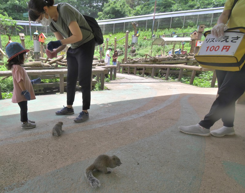 毎日フォーラム 食 農 福 障がい者が働く町田リス園 毎日新聞