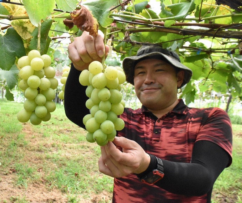 ぐるっと東日本・食べる・つながる：茨城 常陸青龍 品切れになる幻の