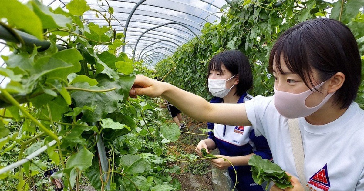 ゲンキナ」商品開発に挑戦 ふるさと納税活用、高畠町が寄付募る 九里