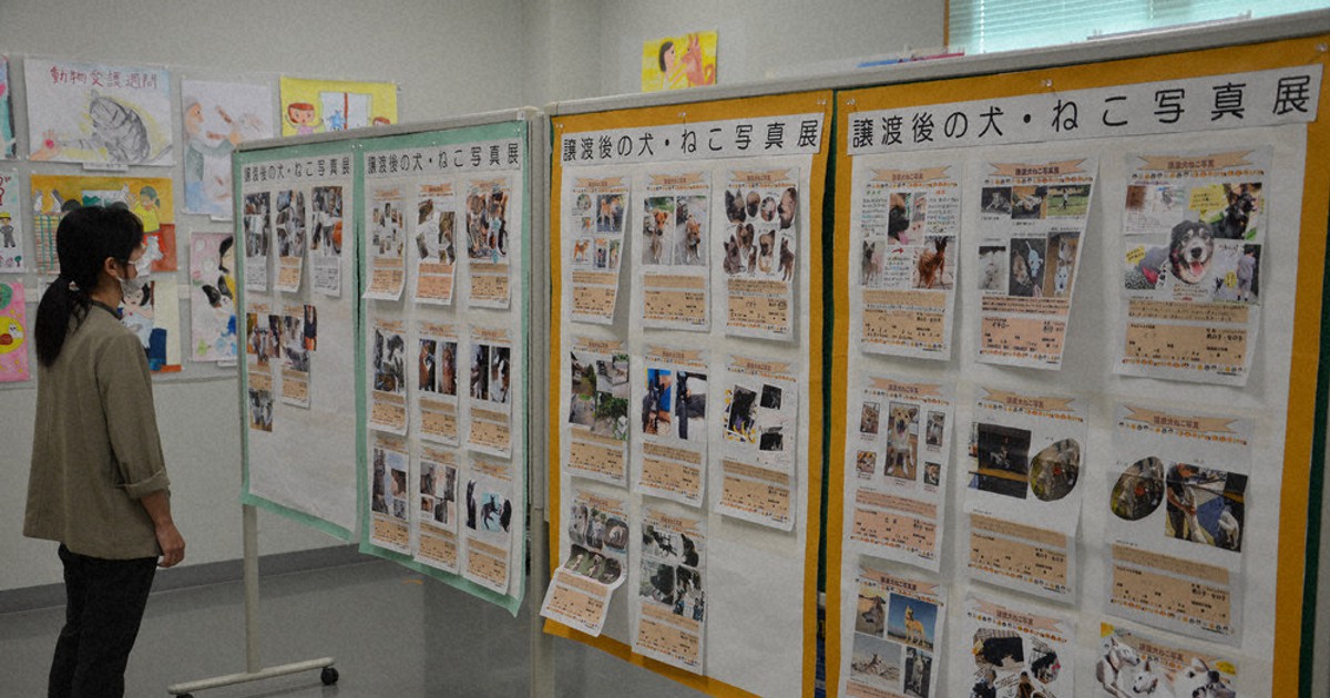 譲渡犬や猫 幸せな写真 動物愛護管理センターで展示 下関 山口 毎日新聞