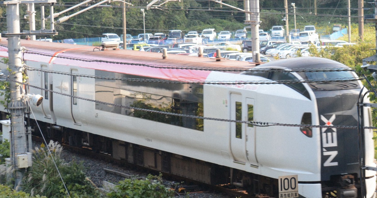 成田エクスプレス運転記念 成田エクスプレス、10月から平常ダイヤに 水際緩和で利用者回復