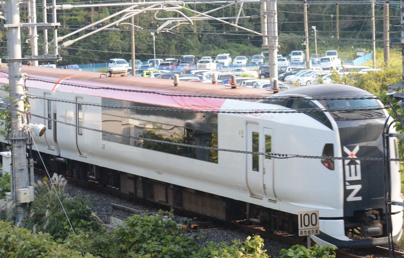 成田エクスプレス、10月から平常ダイヤに 水際緩和で利用者回復