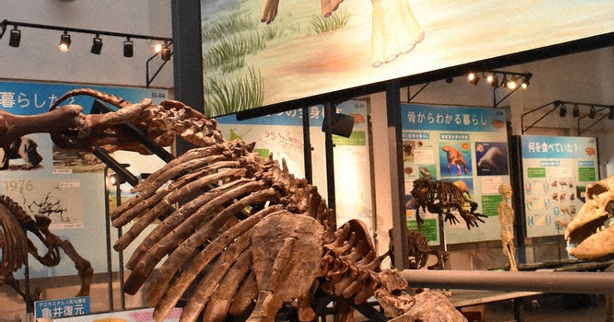 第3弾・発見！地域のお宝：学芸員とっておき秘話／9止 足寄動物化石