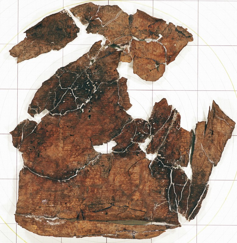 胆沢城跡で出土した硯に「宇曹」の文字 蝦夷の豪族が正門を守衛