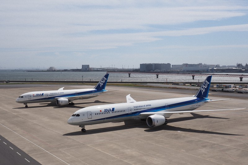 限定4台 ANA ボーイング787 ピトー管 実機取り下ろし 炭素繊維板付 限定4台 ANA ボーイング787 ピトー管 実機取り下ろし 炭素繊維板付