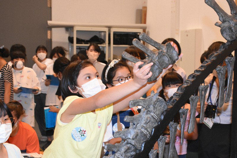 フクイサウルスの全身骨格を組み立てる「恐竜女子学院」の参加者ら=福井県勝山市の県立恐竜博物館で2022年7月30日午後0時47分、大原翔撮影