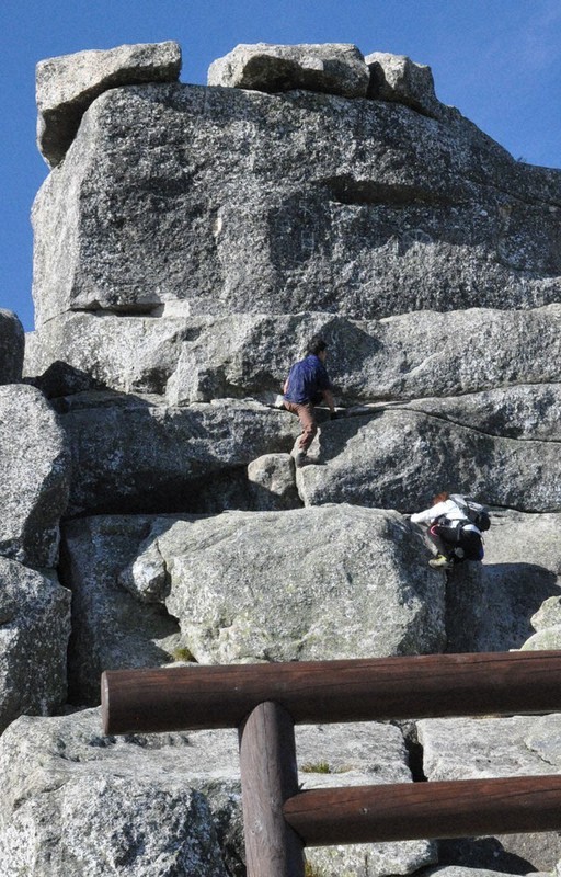 岩ヒバ　　50年以上経っています。 まっちー 岩ヒバ 50年以上経っています。 まっちー 岩ヒバ 50年以上経っています