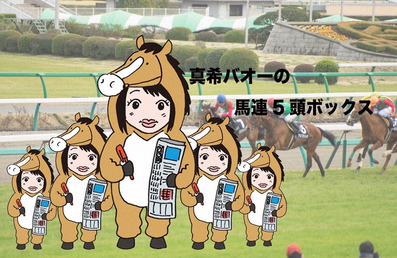 真希バオーの馬連5頭ボックス