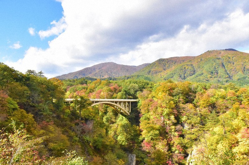 紅葉の見ごろを迎えた鳴子峡=宮城県大崎市鳴子温泉で2022年10月24日午後0時55分、平家勇大撮影