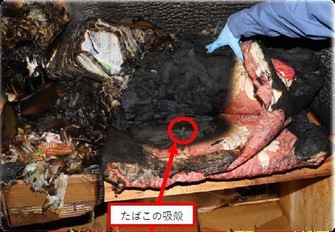 たばこの吸い殻を使った燃焼実験の結果。布団に燃え広がり、激しく焼損している=大津市消防局提供