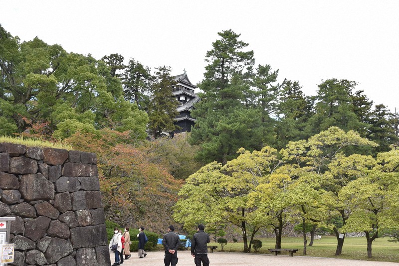 生い茂る樹木で一部が隠れた松江城天守=松江市殿町で2022年10月19日午後2時12分、松原隼斗撮影