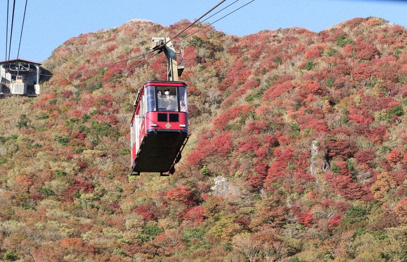 見ごろを迎えた妙見岳の紅葉=長崎県雲仙市小浜町で2022年10月29日午後3時46分、松本美緒撮影