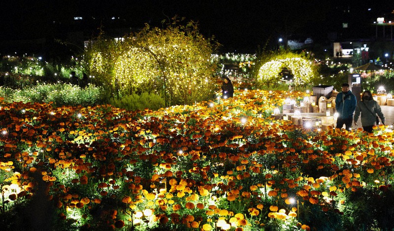 天然石お花 秋の光に包まれ 茨城・石岡 | 毎日新聞