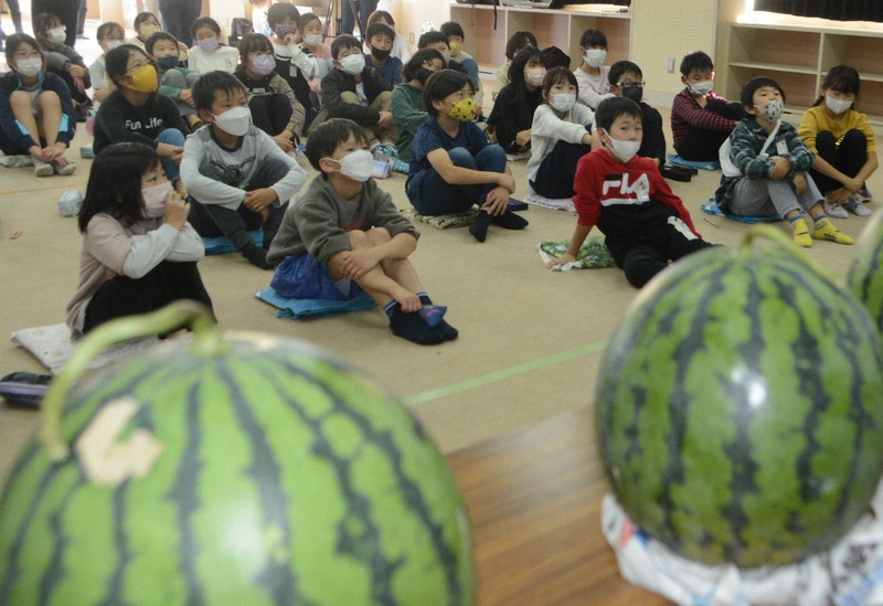 社会科の授業でスイカの話を聞く日吉台小学校の子どもたち=千葉県富里市で2022年11月2日午後1時49分、中村宰和撮影