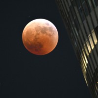 東京スカイツリーの傍らで皆既月食となった満月。月の左下の明るい方の星が、月に隠れる前の天王星＝東京都墨田区で2022年11月8日午後7時16分、手塚耕一郎撮影