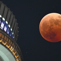 東京スカイツリーの傍らで皆既月食となった満月。月の左下が、月に隠れる前の天王星＝東京都墨田区で2022年11月8日午後7時38分、手塚耕一郎撮影