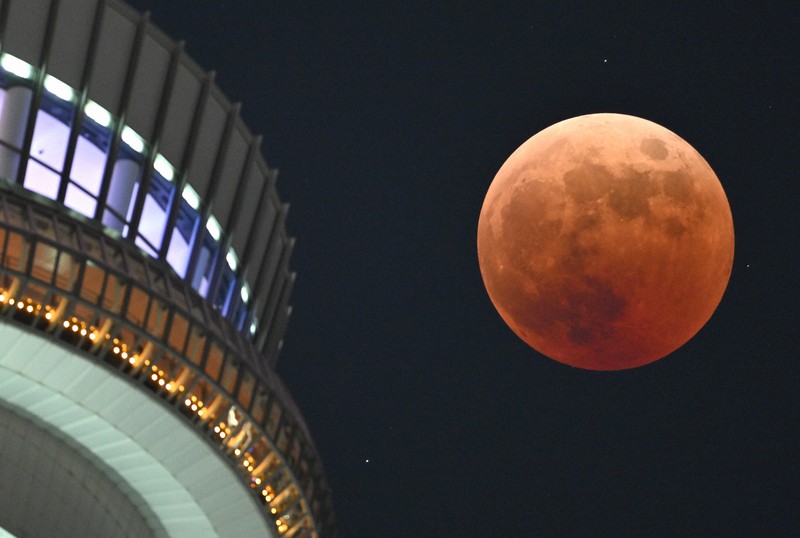 東京スカイツリーの傍らで皆既月食となった満月。月の左下が、月に隠れる前の天王星＝東京都墨田区で2022年11月8日午後7時38分、手塚耕一郎撮影