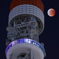 東京タワー越しに見えた皆既月食＝東京都港区で2022年11月8日午後8時34分、猪飼健史撮影