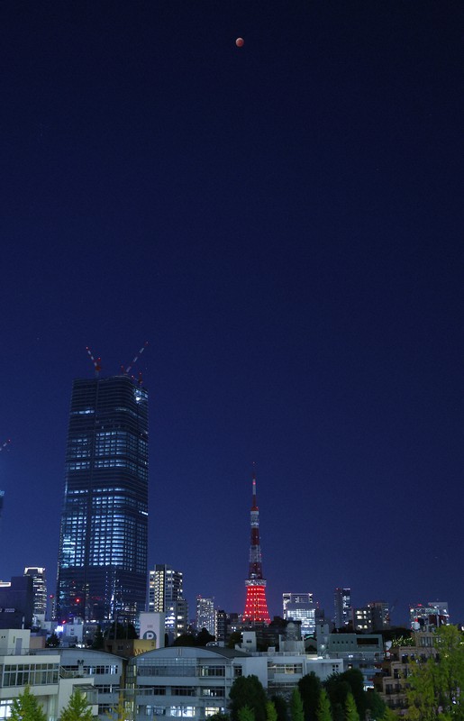 東京タワー越しに見えた皆既月食＝東京都港区で2022年11月8日午後8時2分、猪飼健史撮影