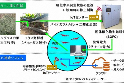 バイオガスで作動する燃料電池とIoTを導入したエビ養殖システムの概要図