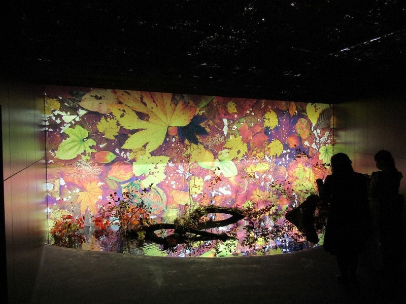 真作⭐︎【神秘の花の海】原画　現品のみ　モダンアート Amazon.co.jp: 真作 神秘の花の海 原画 モダンアート : Hobbies