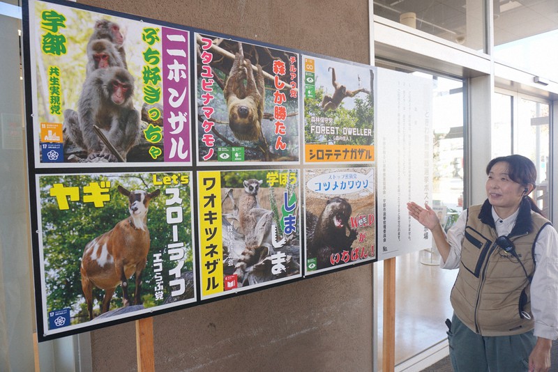 ポスター掲示板では、動物たちがユニークな公約で環境保全などを訴えている=山口県宇部市で2022年11月9日午前10時56分、柳瀬成一郎撮影