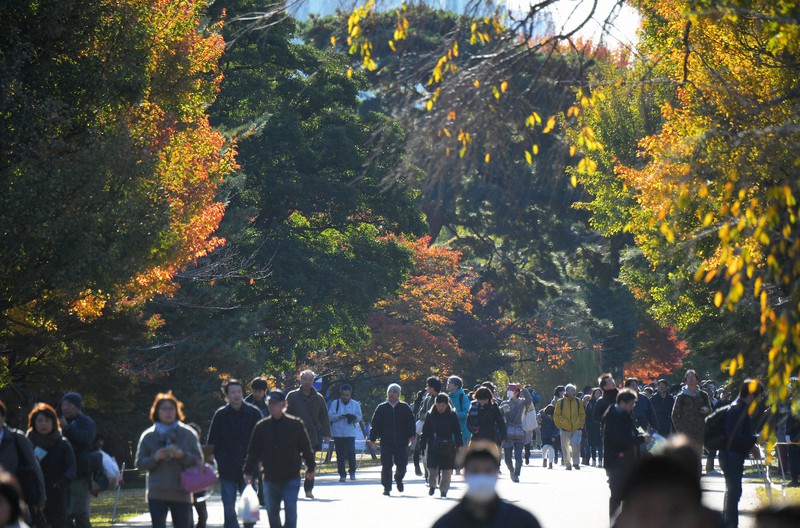 秋の一般公開が始まり、紅葉の乾通りを楽しむ大勢の人たち=皇居で2019年11月30日午前8時52分、手塚耕一郎撮影