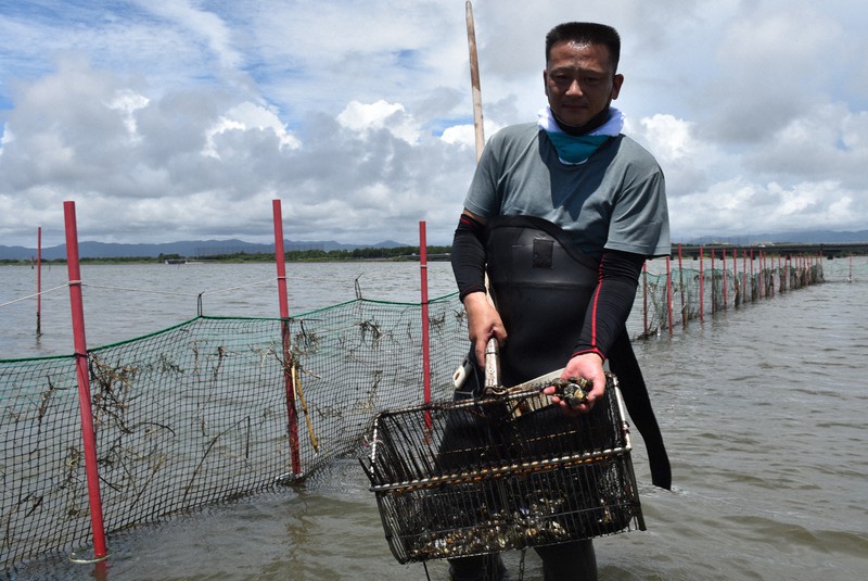浜名湖のアサリ復活へ ノーベル賞研究支えた地元企業が支援 | 毎日新聞