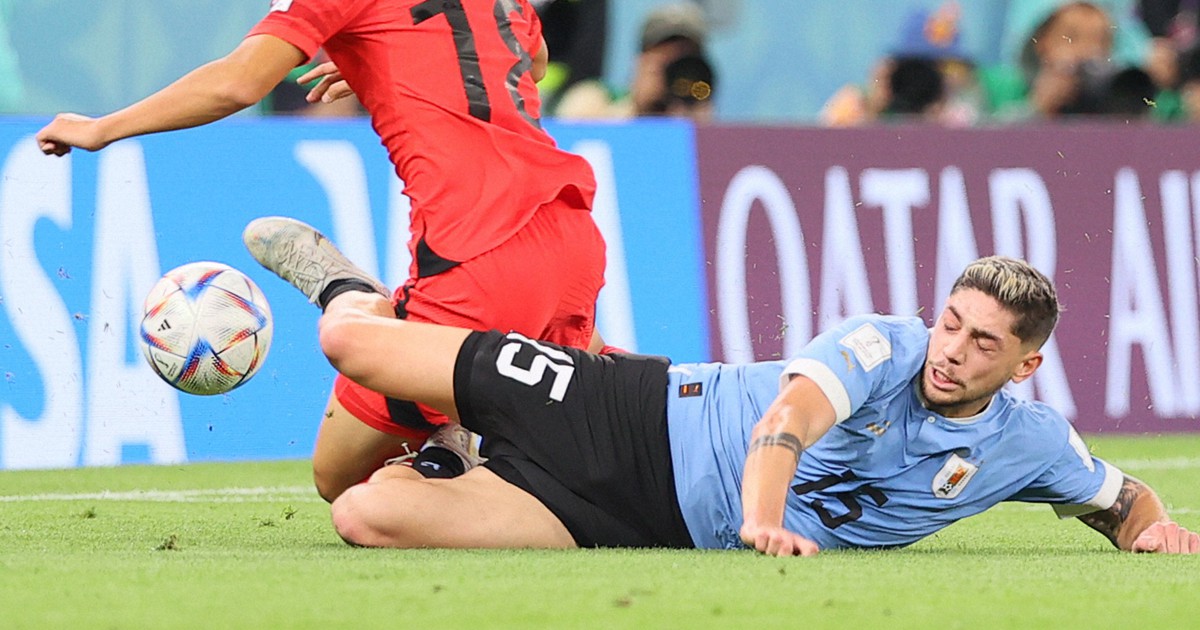 正規品】2022ウルグアイ代表 バルベルデ US L(日本XL) 新品タグW杯