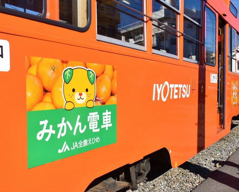 伊予鉄道　みかん電車　吊り革 松山の「みかん電車」、通年運行スタート つり革にミカンの精巧