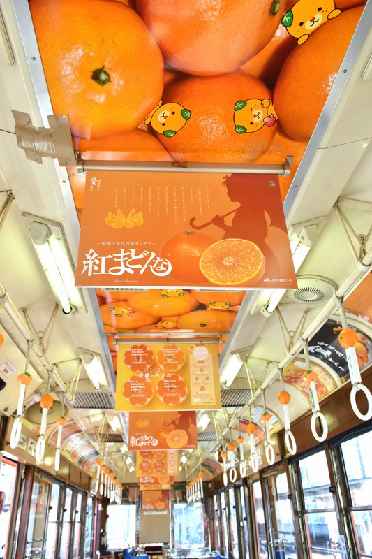 愛媛の「みきゃん」がつり革・外装に みかん電車と期間限定