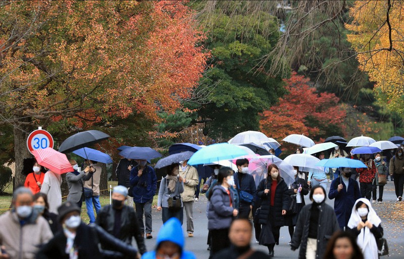 皇居・乾通りの一般公開が始まり、紅葉を楽しむ大勢の人たち=東京都千代田区で2022年11月26日午前9時28分、三浦研吾撮影