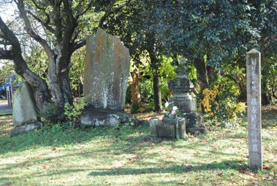 藤原樹 クッション カプセル plegado de piezas Tarragona, empresas plegado de piezas