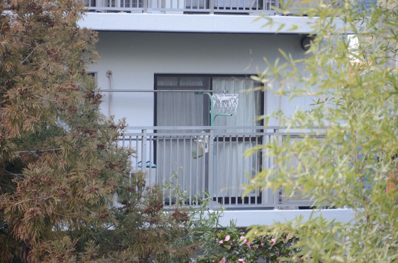 死亡した男性が暮らしていたマンションの一室。事件前、周辺住民から虐待を疑う通報が相次いでいた=大阪府高槻市で2021年2月8日午後2時15分、安元久美子撮影