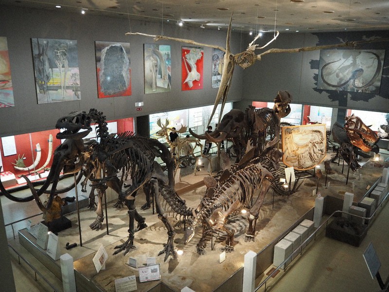 マンモス越しの絵画鑑賞 骨格標本と“競演”田中秀介展 大阪市立自然史