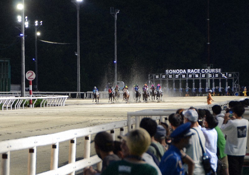 ナイター用の照明設備も使われる園田競馬場の薄暮レース=尼崎市で2022年9月1日午後6時43分、井上元宏撮影