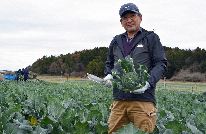 収穫したブロッコリーを手にする木幡治さん=福島県双葉町下羽鳥で2022年12月5日午前9時31分、柿沼秀行撮影