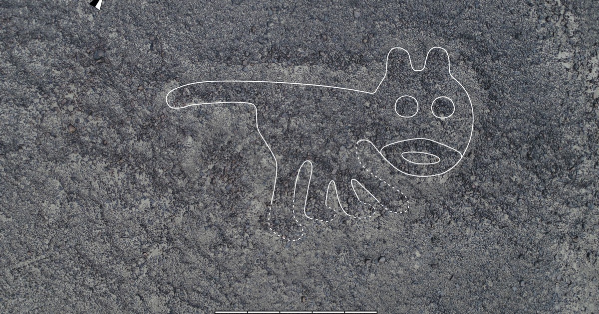 ナスカ地上絵　研究本 ナスカ地上絵の「発見」（上） (Classics＆Academia) | ポール