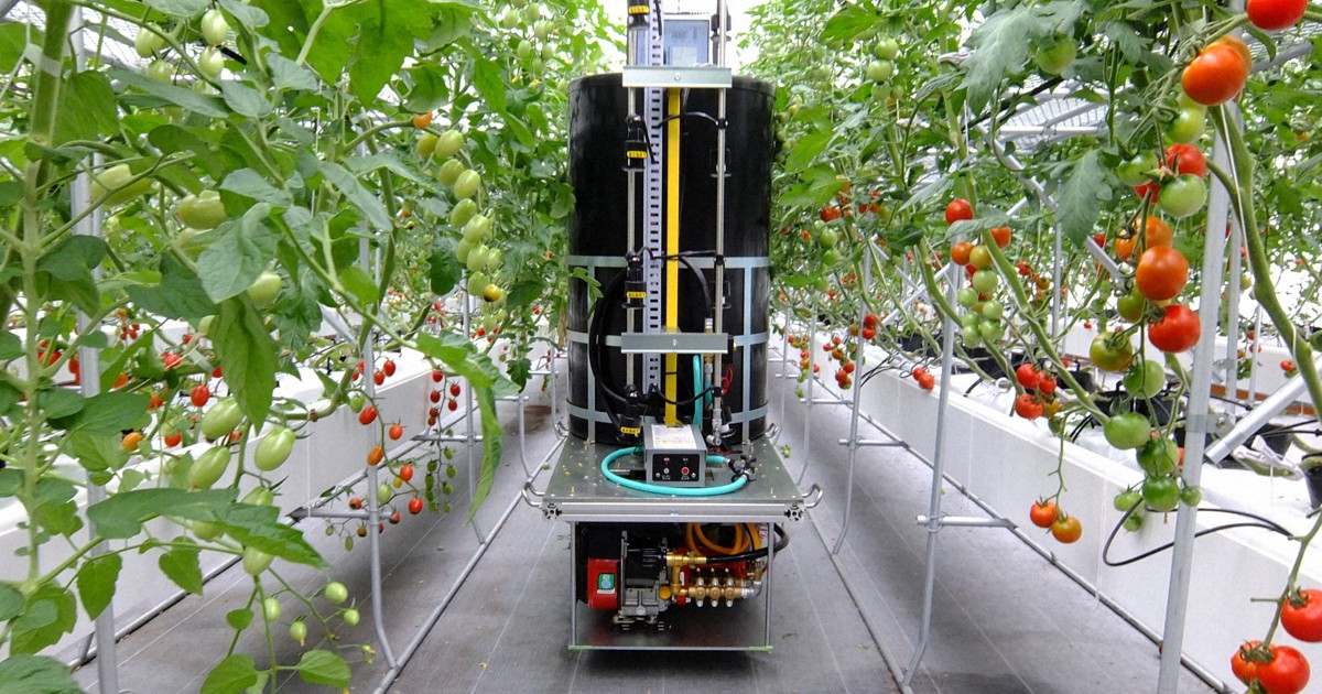 AIとロボット駆使、最先端の栽培システム 農業の未来を変えるのか