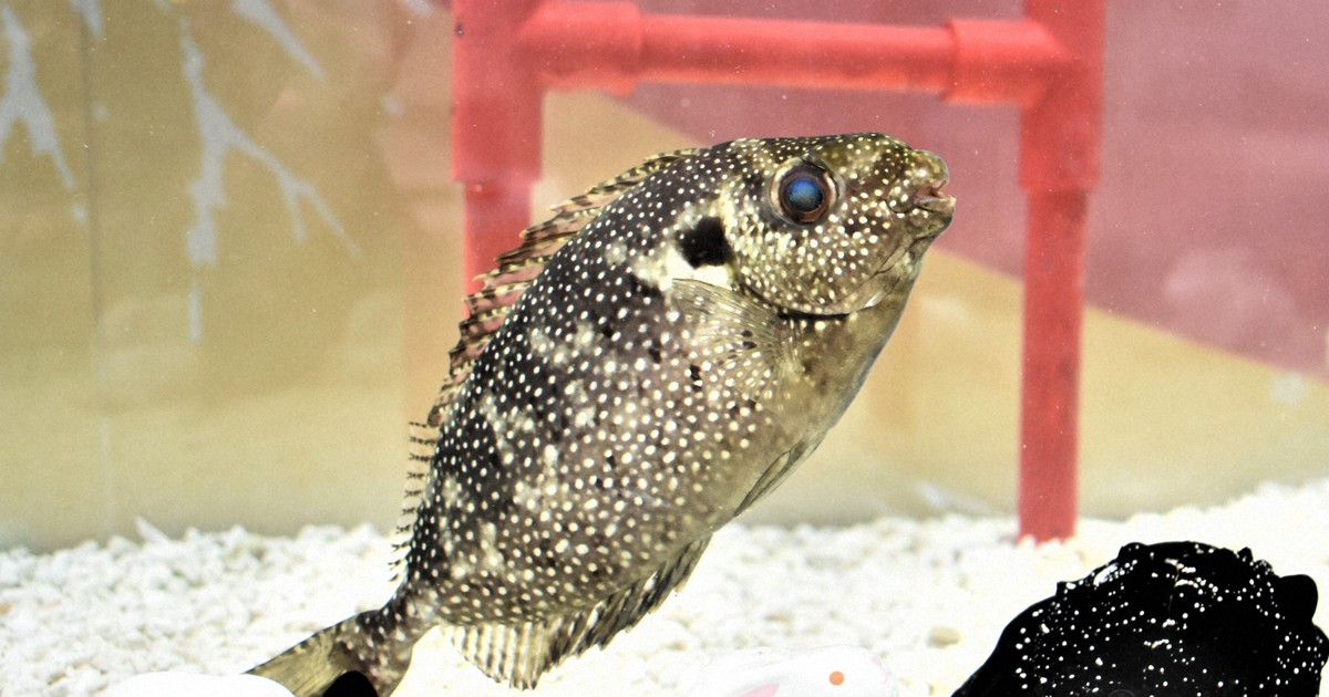 海月様 熱海 #atami 海と空と温泉 絶景を楽しんできたよ😇 50歳になっても