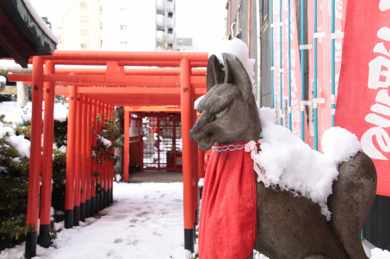 名古屋で初雪、積雪10センチ 名古屋高速は全線通行止め [写真