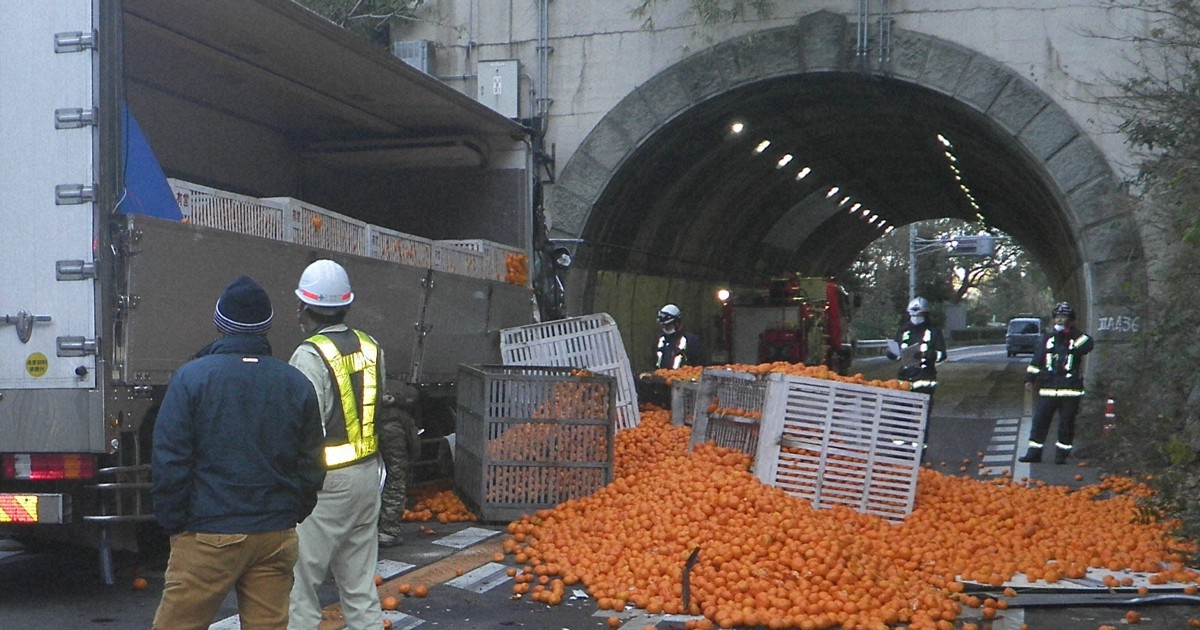 ホ*郎様 CITRUS EXPRESS ミカン運送トラック 2022#chiba#japan#truck#trailer#千葉#トラック#トレーラー