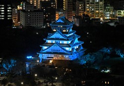世界糖尿病デーに合わせ、青色にライトアップされた大阪城＝大阪市中央区で2018年11月14日午後6時14分、本社ヘリから平川義之撮影