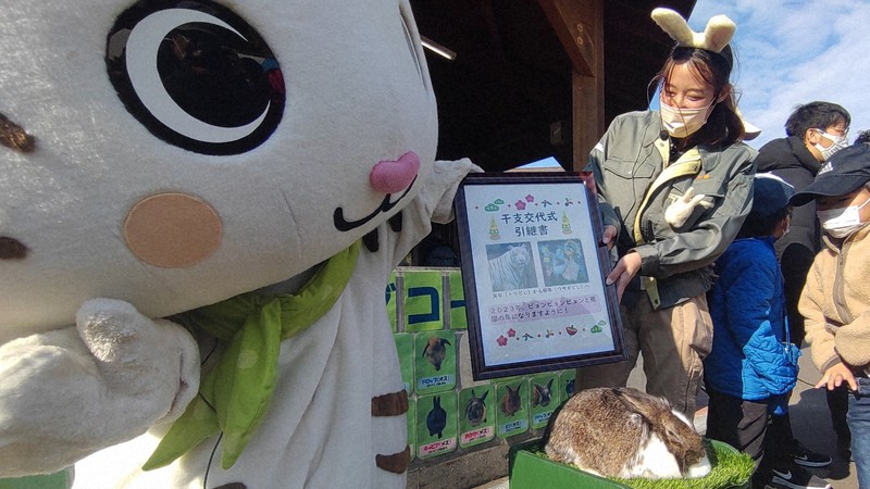 ぴょんぴょん飛躍を」 ウサギに干支の交代式 鹿児島の動物園 | 毎日新聞