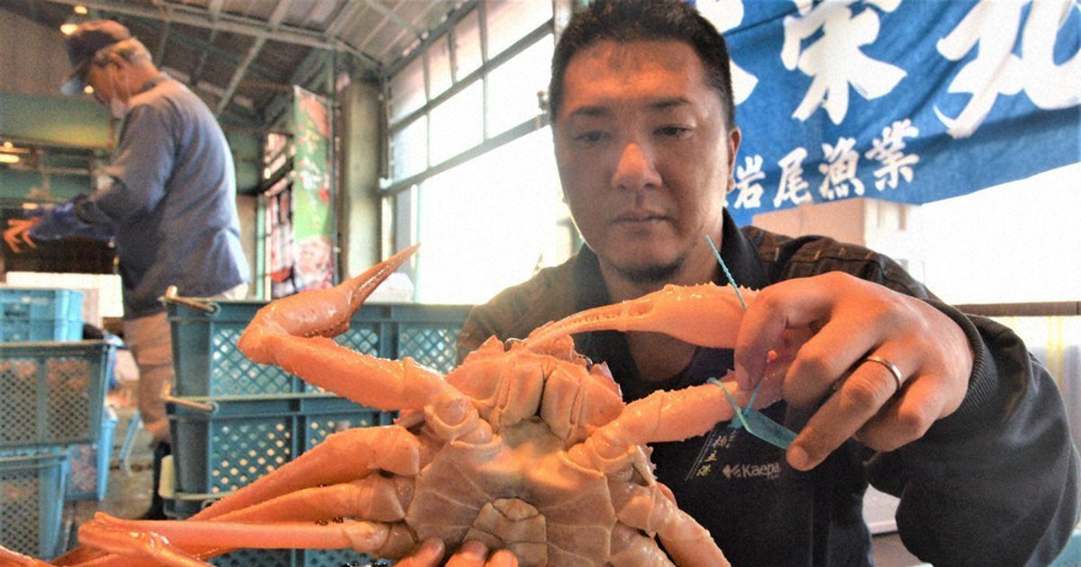 深夜の操業、同行16時間 石川沖「加能ガニ」漁 最高級「輝」クラス狙い