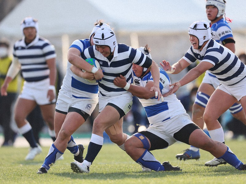 BLK Red Dolphins ラグビーシャツ 3XL 【公式通販】