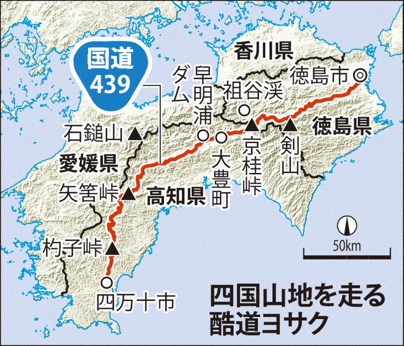 山頭火と四国遍路 山頭火と四国遍路 (コロナ・ブックス 109) | 横山 良一 |本