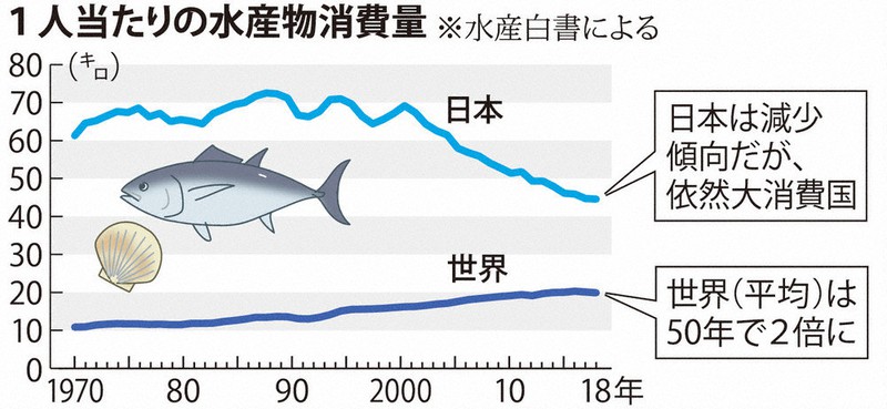 防水チャート 海岸釣り用 156F 小さな卵港からアトランティックシティへ 焦点：迫る危機、広がる陸上養殖 沿岸養殖、海水温上昇で赤潮