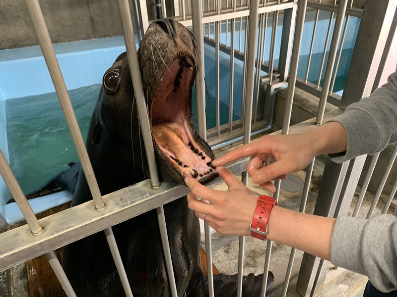 交差感染の原因